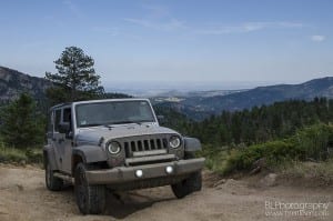 Compression Springs